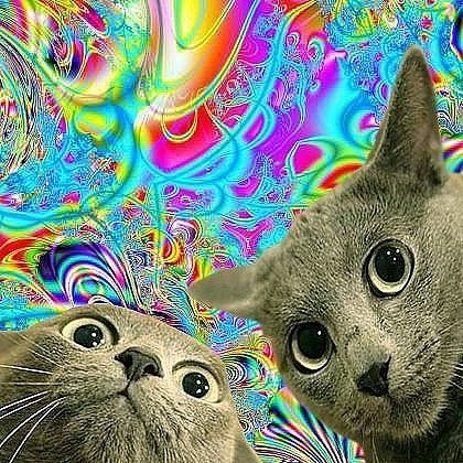 Талян Onotole punker | 