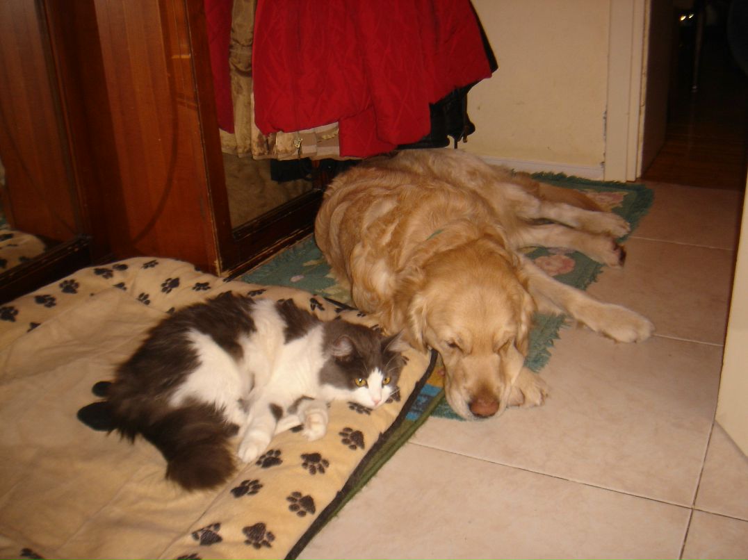 Алёна Захарченко | London