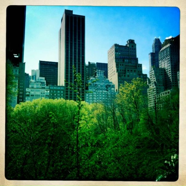 №44, Мария Зуева, Москва №44, Мария Зуева, Москва