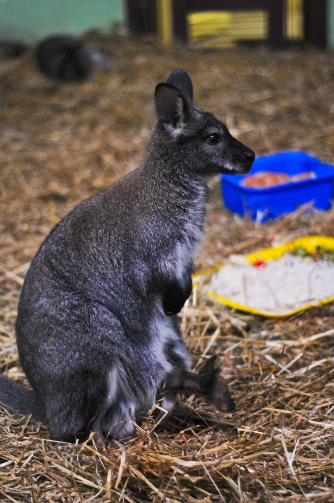 Мария Янцен | Екатеринбург