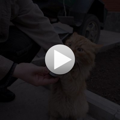 Элеонора Карп | Одесса