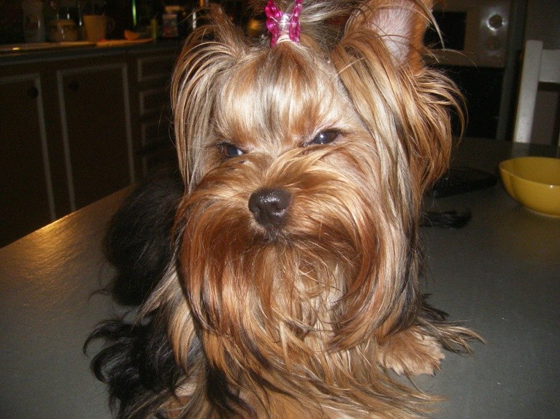 Екатерина Мусина (Якимова) | Санкт-Петербург