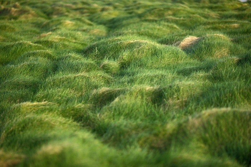 Мария Макова | Санкт-Петербург