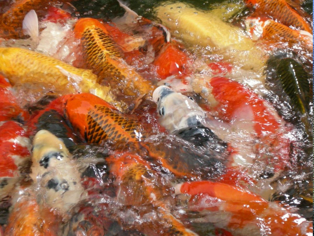 Ольга Парамонова | Москва