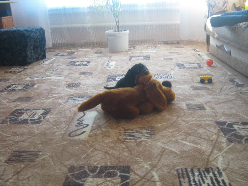 Олечка Козлова ღBarbieღ | Белорецк