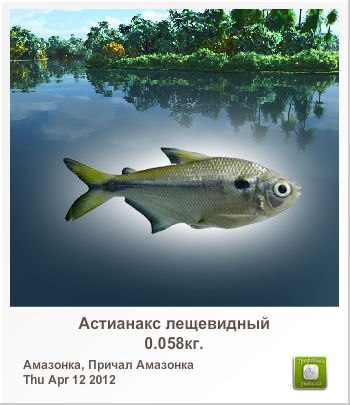 Женька Симонов 振亞 | Москва