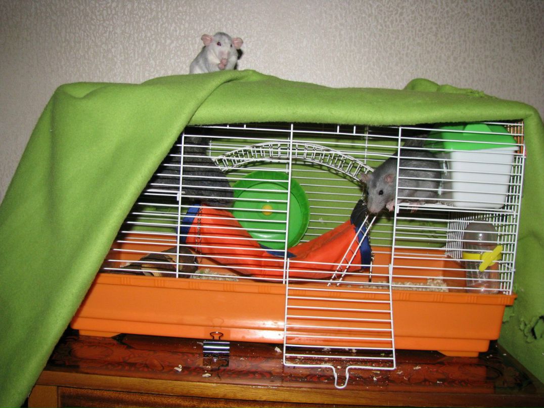 Алёна Милютина | Москва