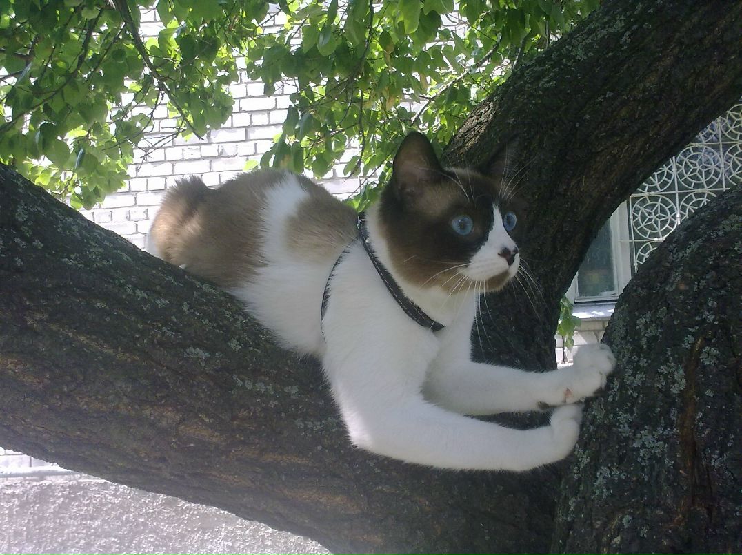 Ярик Подрєзов | Киев