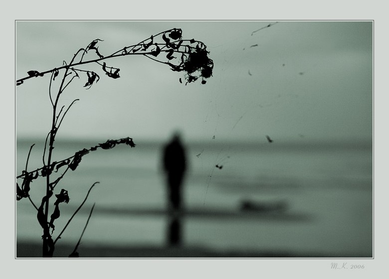 Антон Матузков | Санкт-Петербург