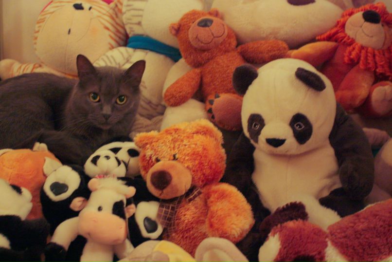 Светлана Блудова | Сочи