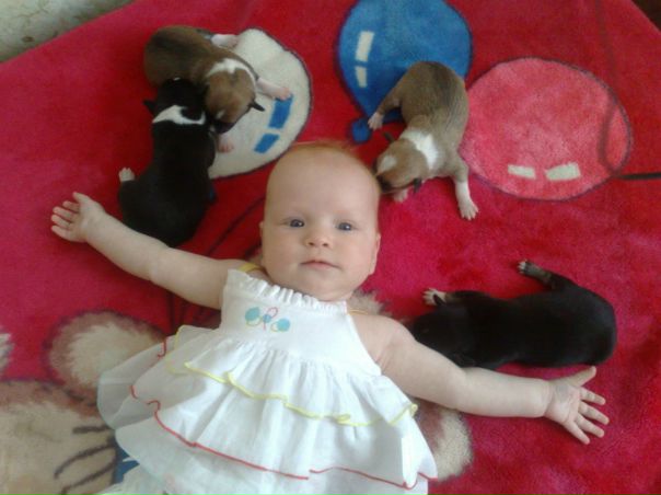 №11, София Доний №11, София Доний