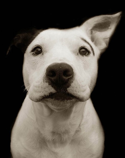 Егор Левада | Киев