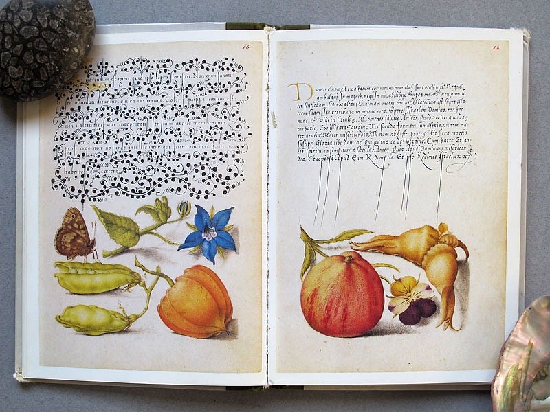 Тина Романова | Одесса