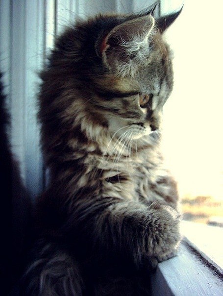 Динара Овсянникова | Уфа