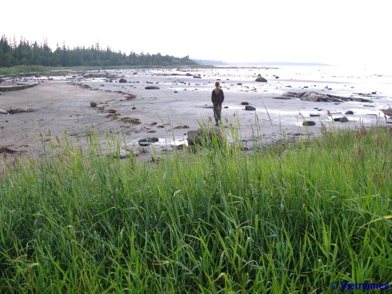 Светлана Орлова | Москва