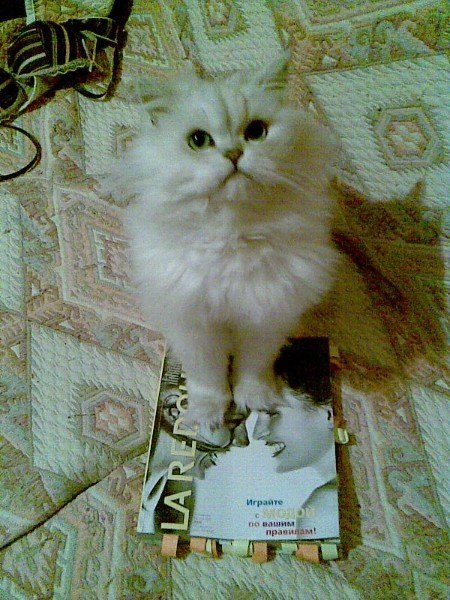 Алёна Важенина Vazhenka | Санкт-Петербург