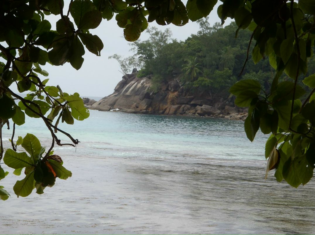 Евгения Павлова | Москва