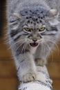 Фотография Олег Ермолаев