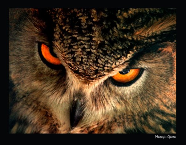 №99, Рина Харченко, 31 год, Люботин №99, Рина Харченко, 31 год, Люботин