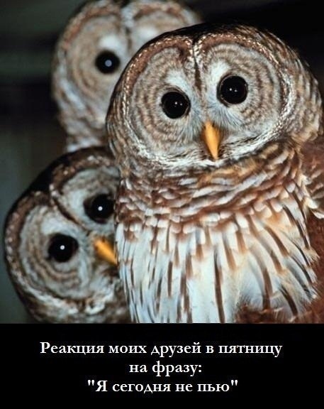 Дима Коваленко | Киев