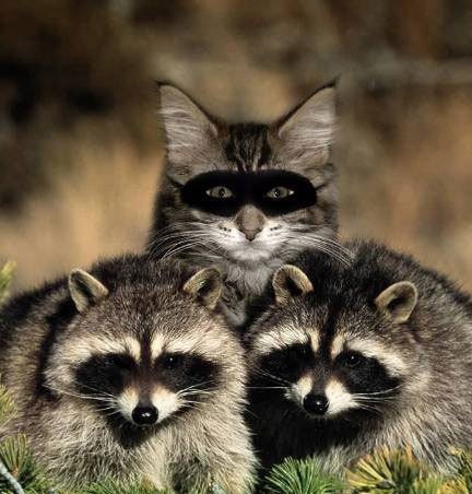 №167, Ирка Алиса, Одесса №167, Ирка Алиса, Одесса