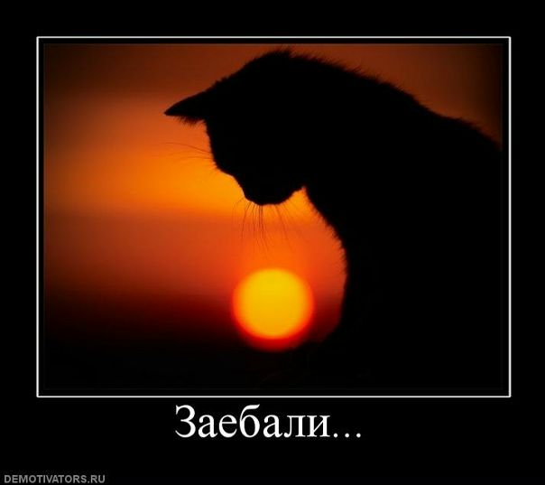 №45, Александр Мартин №45, Александр Мартин