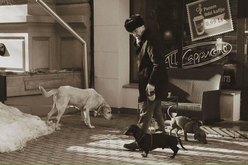 Юлия Бокова | Рига