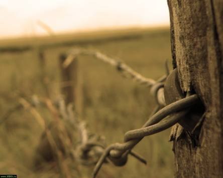 Глеб Шумов | Челябинск