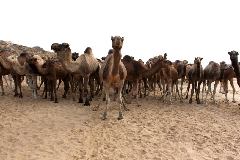 Олег Кравченко | Москва