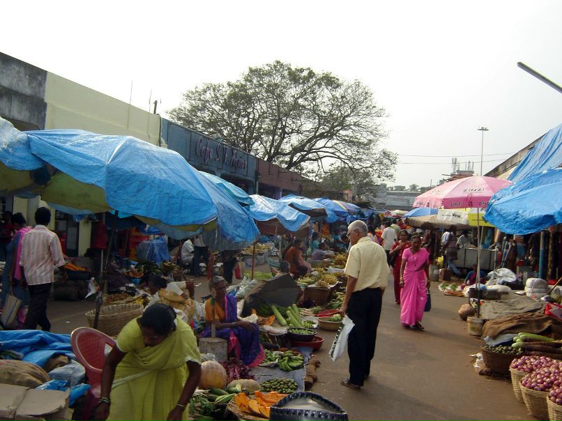 Роза Ветров | Самара