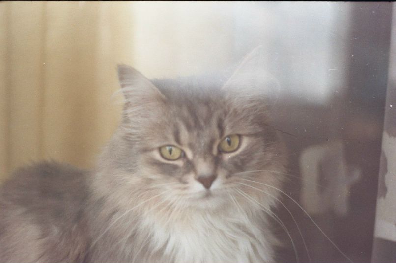 Полина Парочкина StiTch | Москва