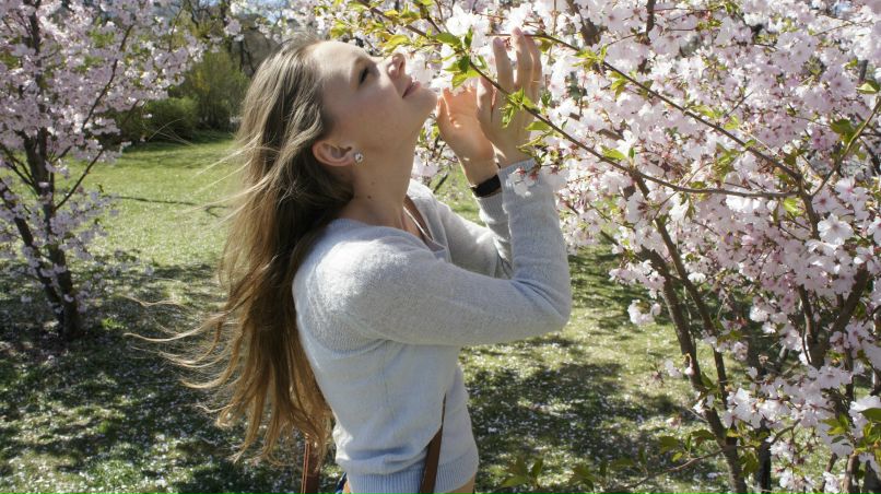 Диана Швейко | Киев