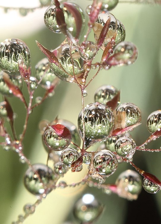 Анастасия Евглевская | Минск
