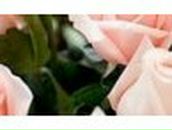 Марина Липанова | Тверь