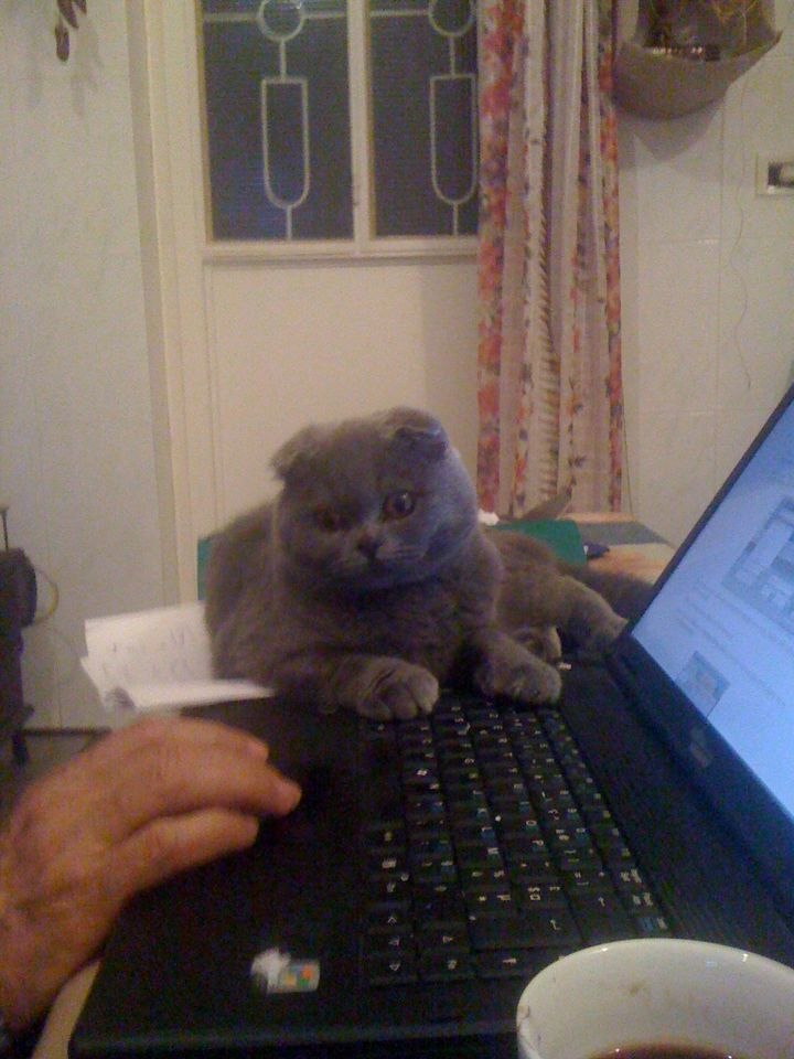 Наталия Чунаева | Москва