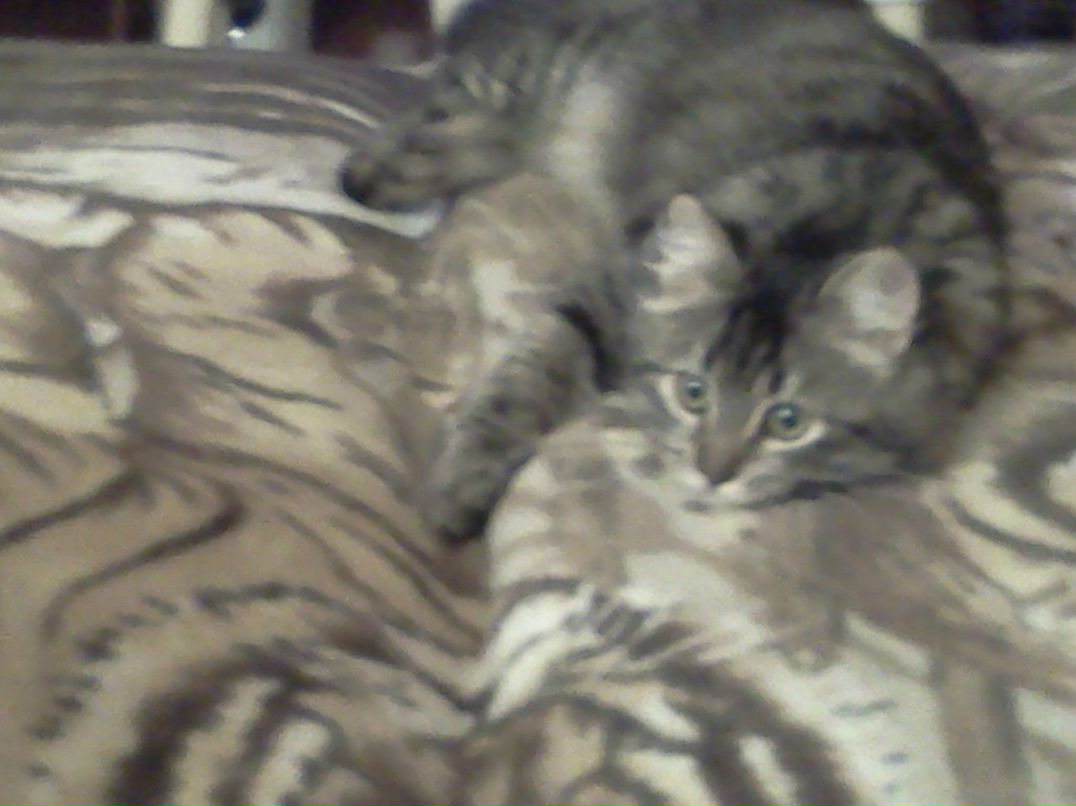 Анна Косякина | Челябинск