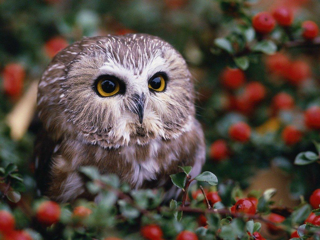 Рита Каштанова | Москва