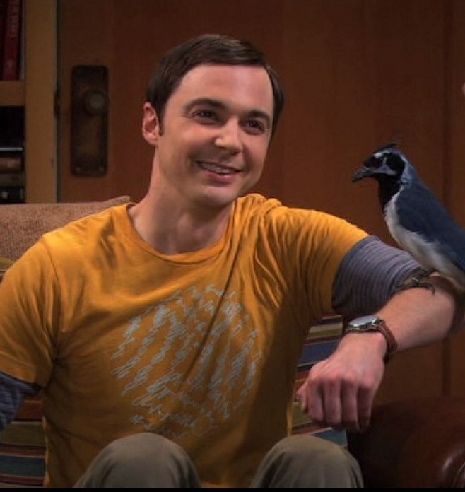 Ruslan Onopriyenko | Марковка