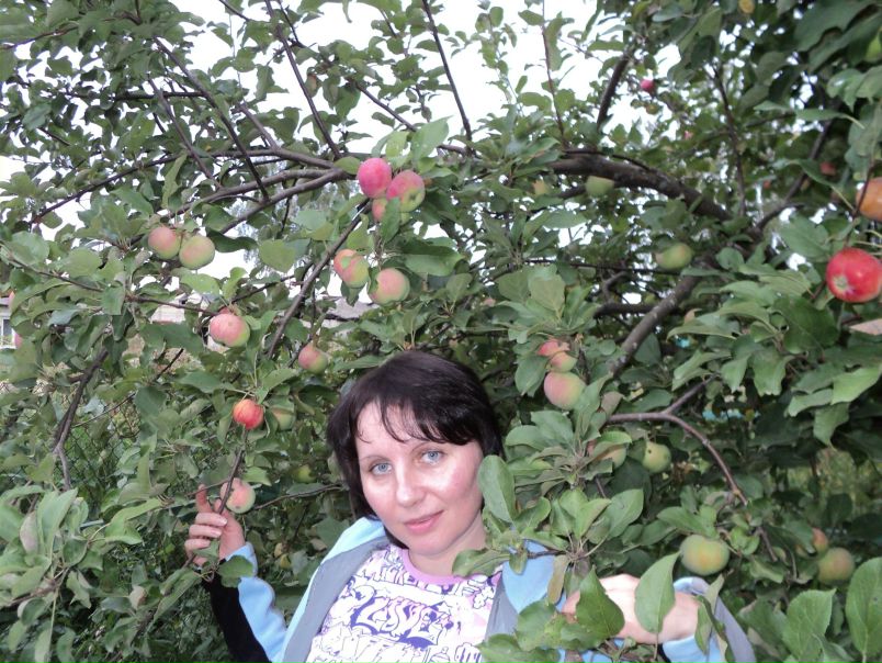 №8, Галина Орлова №8, Галина Орлова