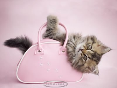 Оля Александрова | Москва