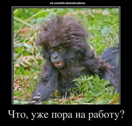 №75, Даниил Чернышов, Санкт-Петербург №75, Даниил Чернышов, Санкт-Петербург