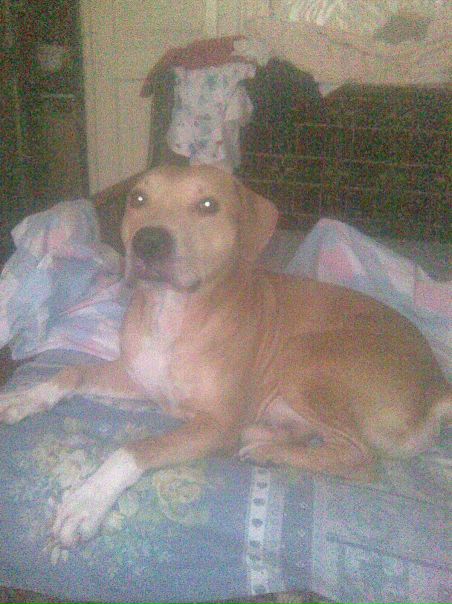 №158, Владимир Патокин, Херсон №158, Владимир Патокин, Херсон