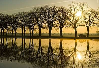 №68, Александра Капитальман, 37 лет, Киев №68, Александра Капитальман, 37 лет, Киев