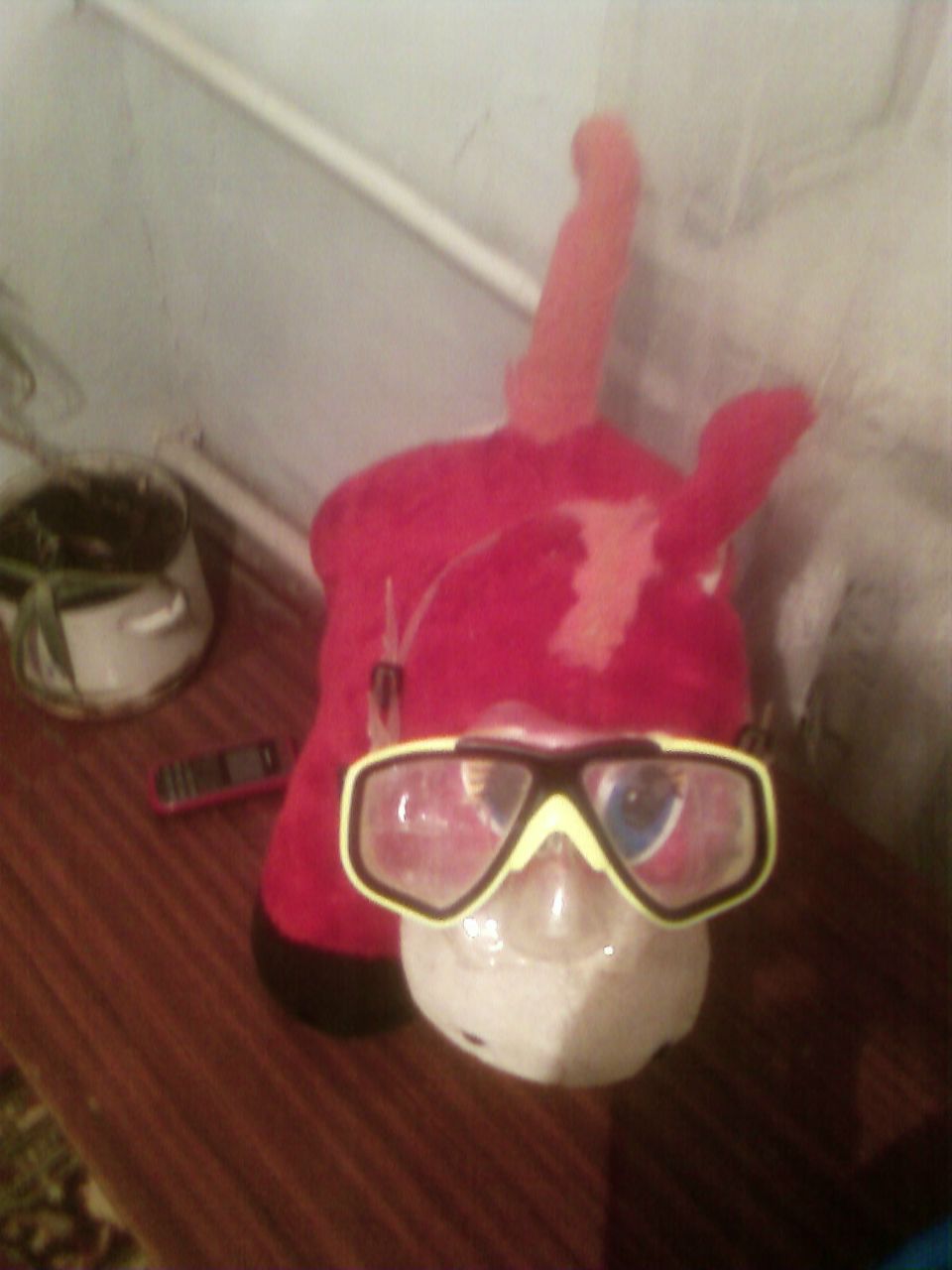 Иван Сирота | Севастополь