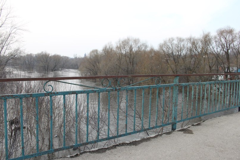 Илья Королев | Михайлов