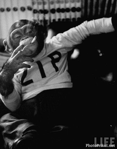 Андрей Бронников | Нефтеюганск