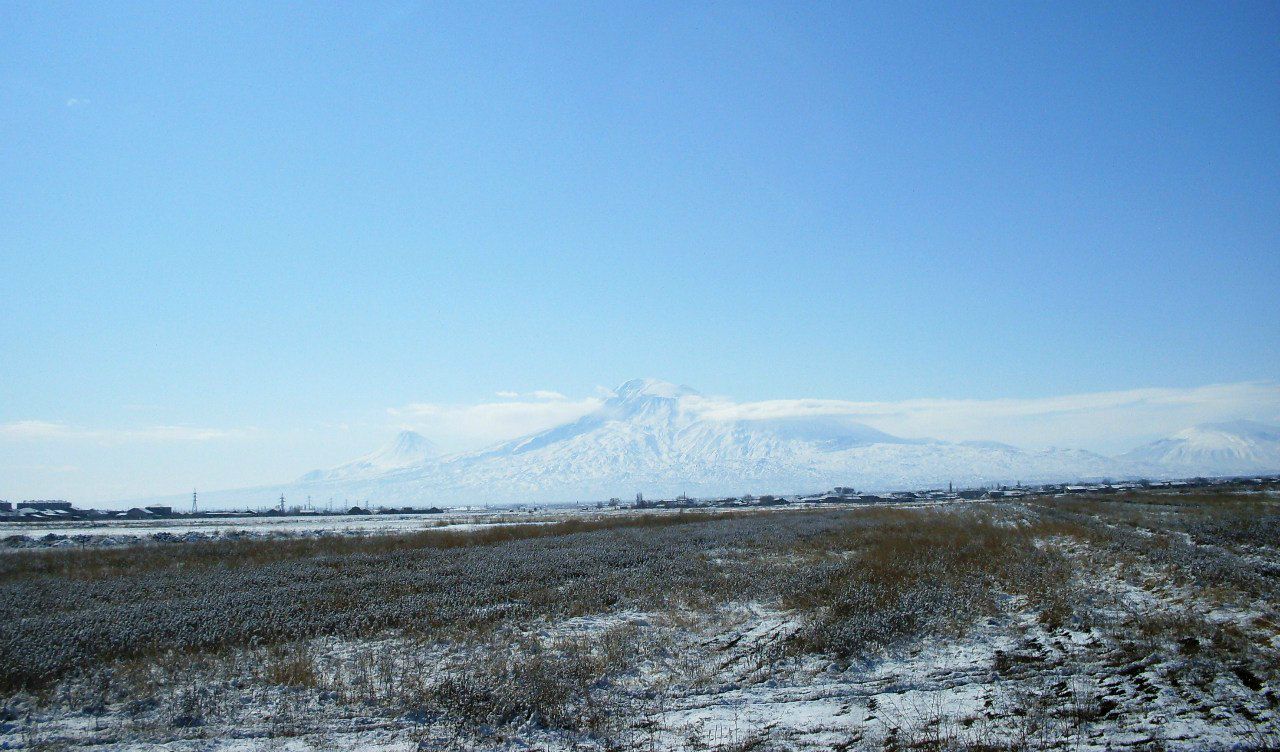 Анюта Маркелова PangoLin | Солнечногорск