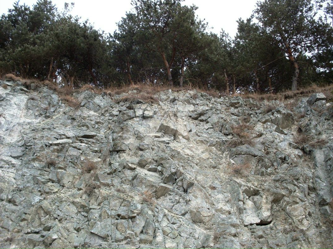 Анюта Маркелова PangoLin | Солнечногорск