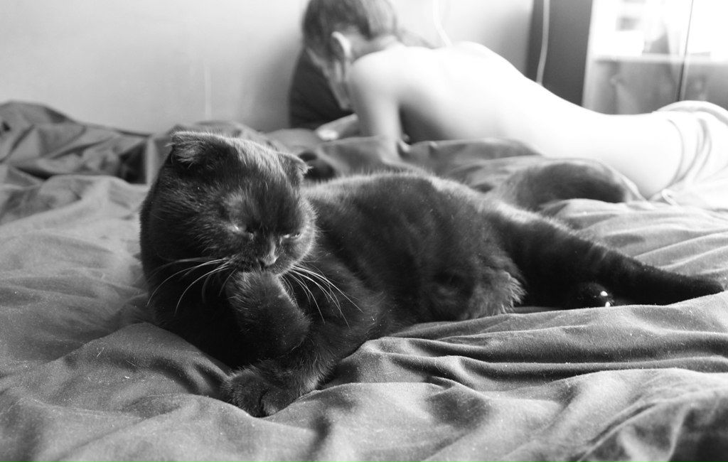 Роман Трищук | Санкт-Петербург