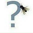 Николай Мельниченко | Москва